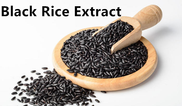 Black Rice Extract.jpg